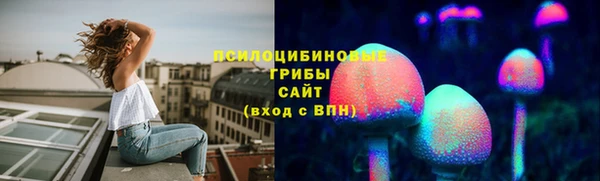 дмт Пересвет