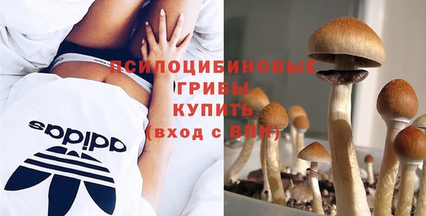 мет Аркадак