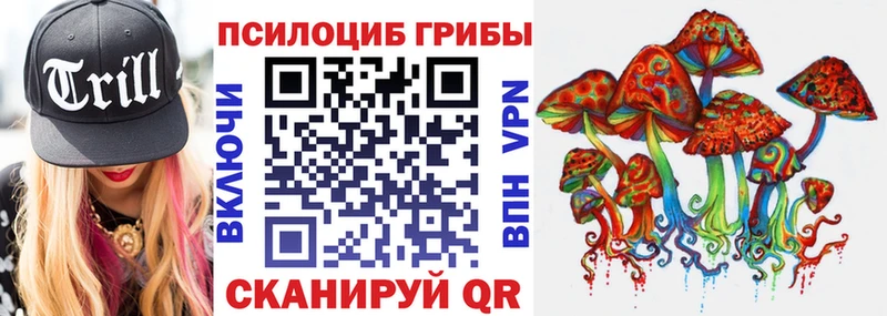 цена наркотик  Снежинск  Галлюциногенные грибы Psilocybe 